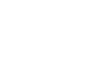 THE 5