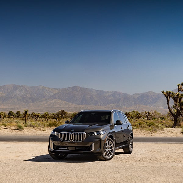 Parked BMW X5 in desert landscape